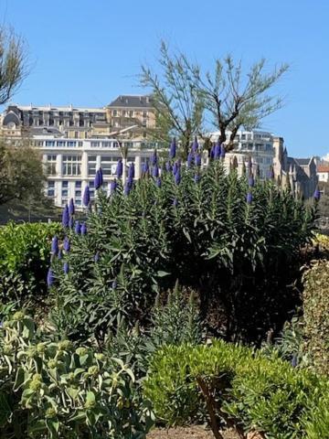Waikiki Appartement Biarritz Buitenkant foto