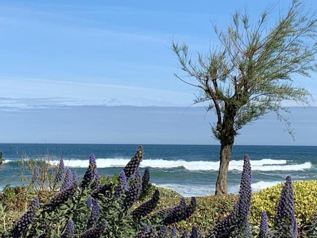 Waikiki Appartement Biarritz Buitenkant foto